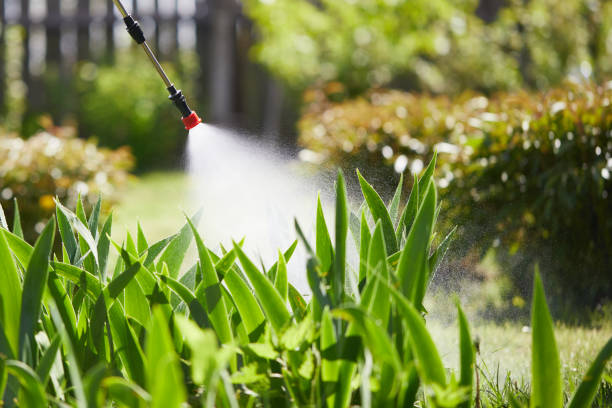 Tamper-Resistant Bait Stations for Rodents in Kinston