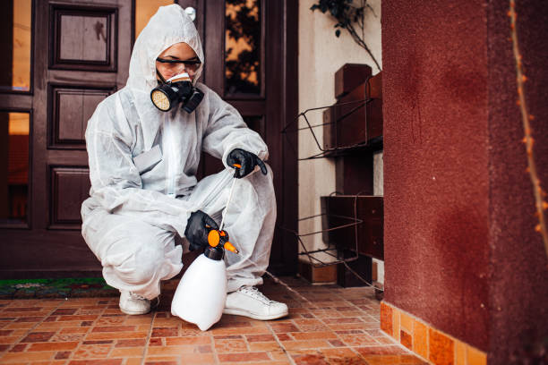 Attic and Crawl Space Rodent Treatment in Kinston