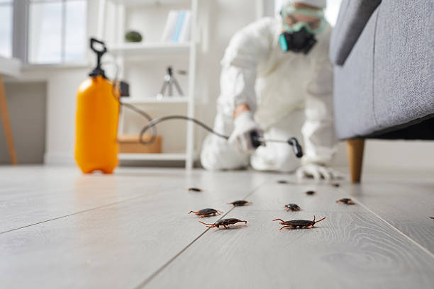 Commercial Rodent Management in Kinston